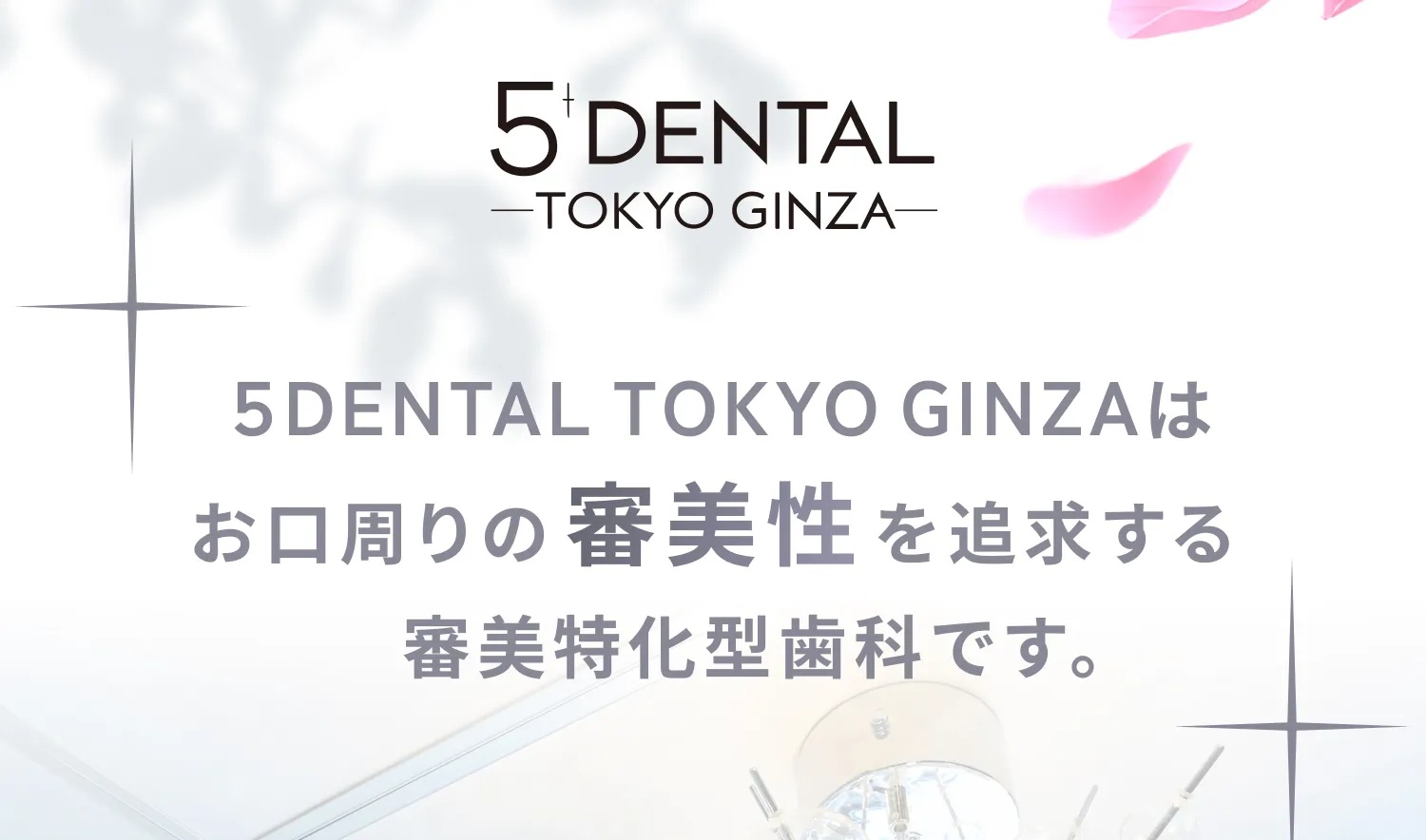 ローマピンク施術の概要